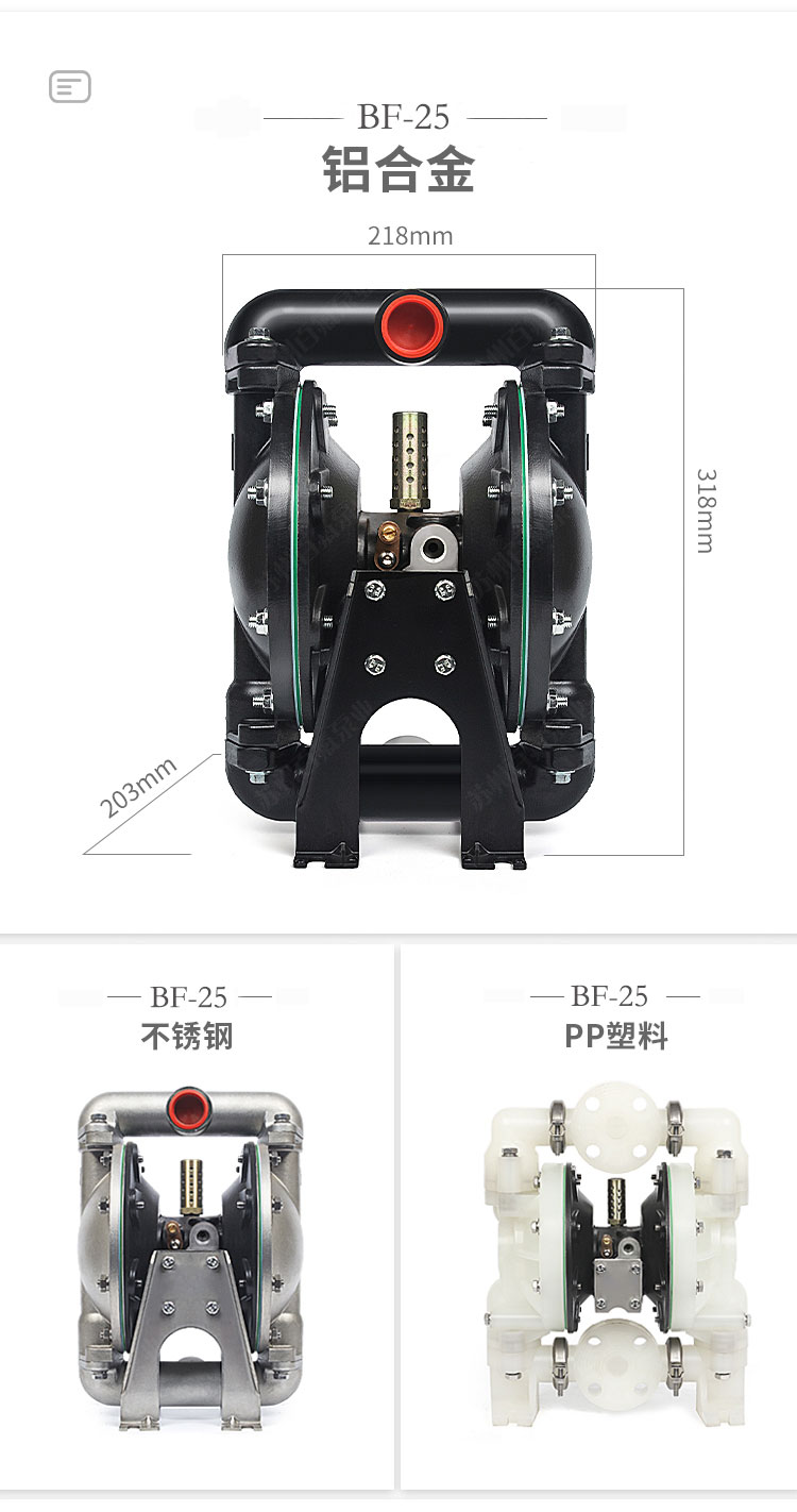BF型大流量氣動（dòng）隔膜泵(圖（tú）6)